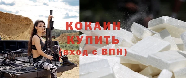 дживик Осинники
