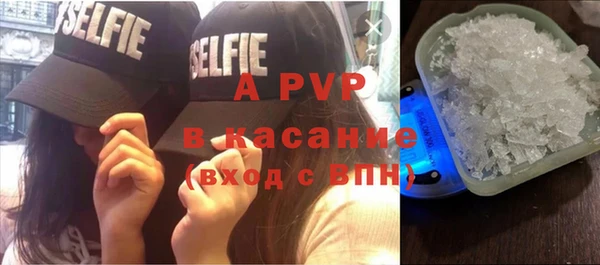 шишки Осташков