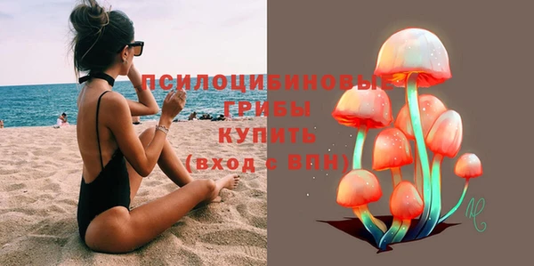 дживик Осинники