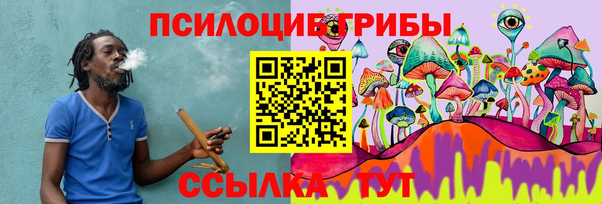 Псилоцибиновые грибы прущие грибы  Вход с VPN  Чистополь 